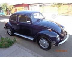 Escarabajo año 81