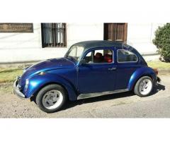 Volkswagen escarabajo