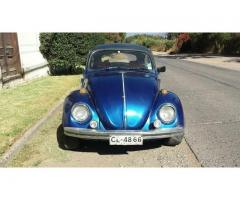 Volkswagen escarabajo