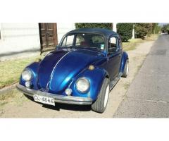 Volkswagen escarabajo