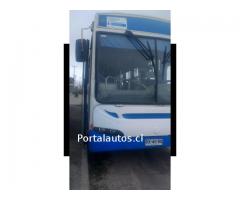 bus