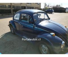 Escarabajo en venta