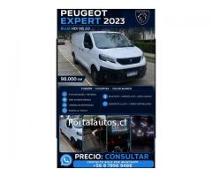Vendo Furgon Expert P